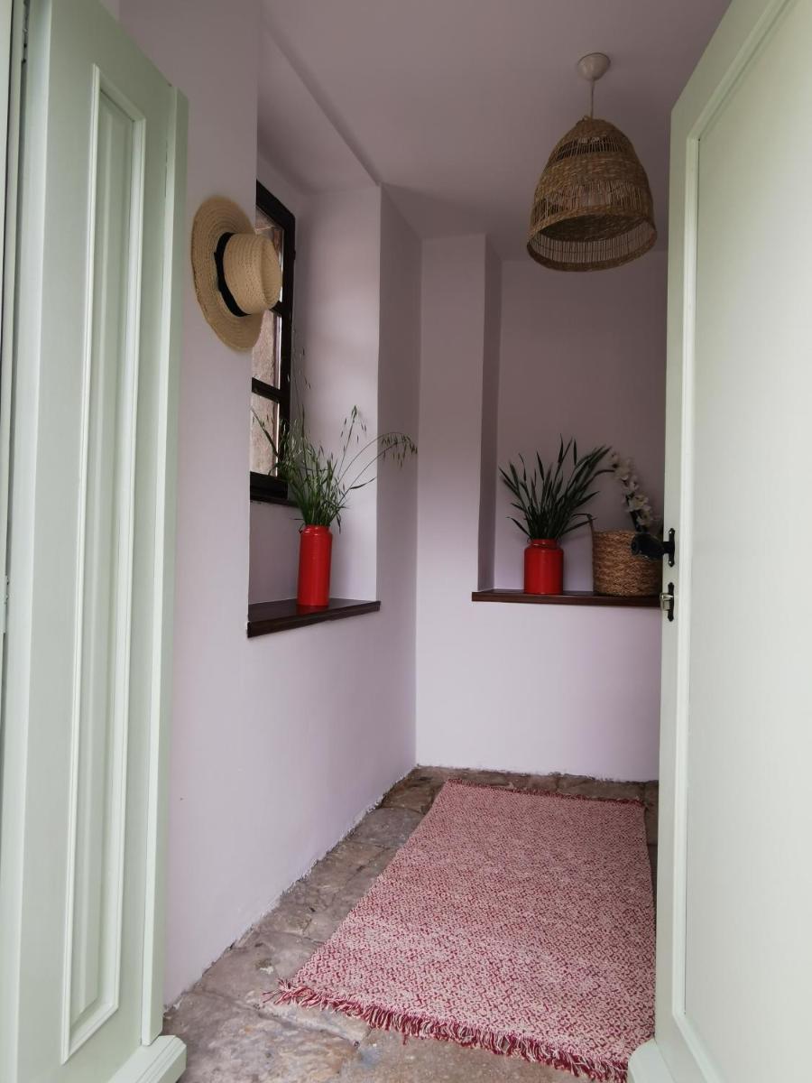 Salvia - Housity