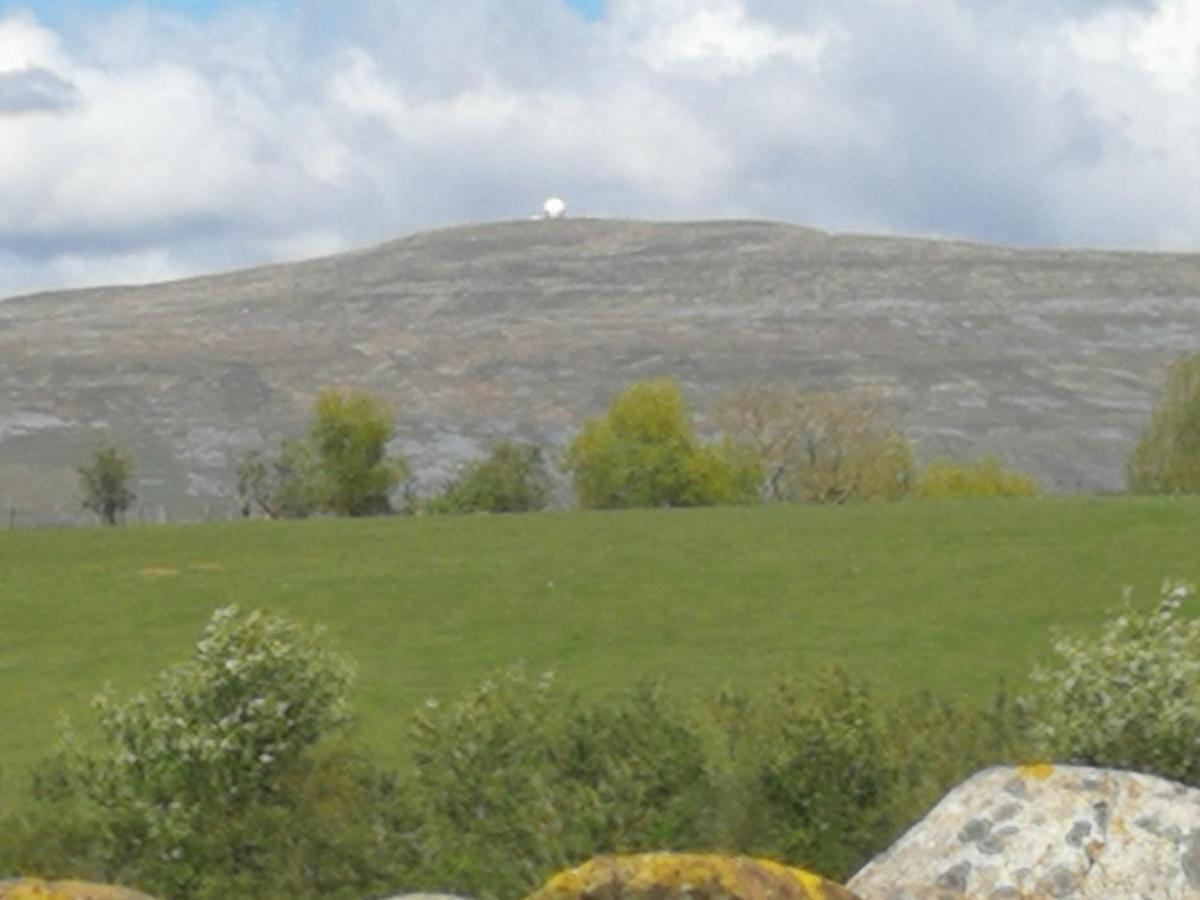 Sunny Mount Glamping Pod - Housity