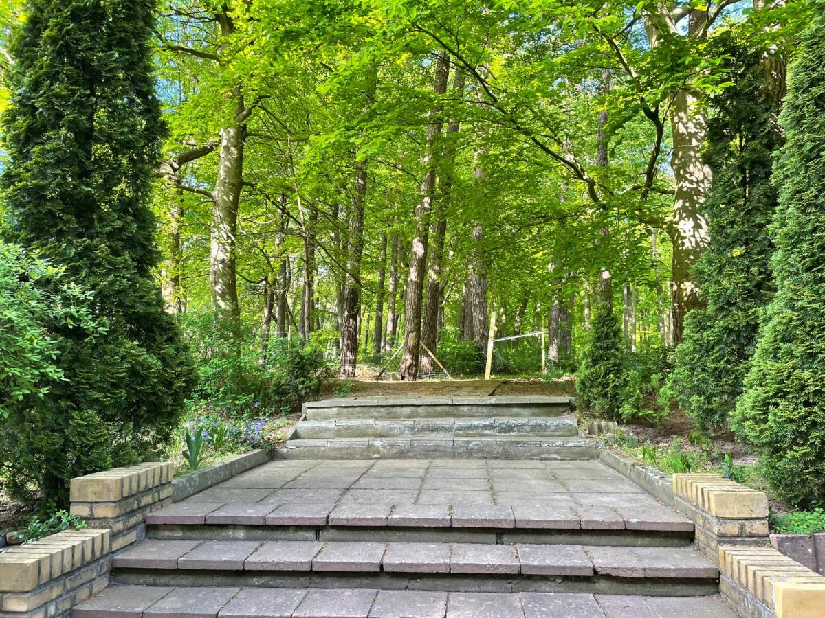 Wolin-Travel Apartament Park - Housity