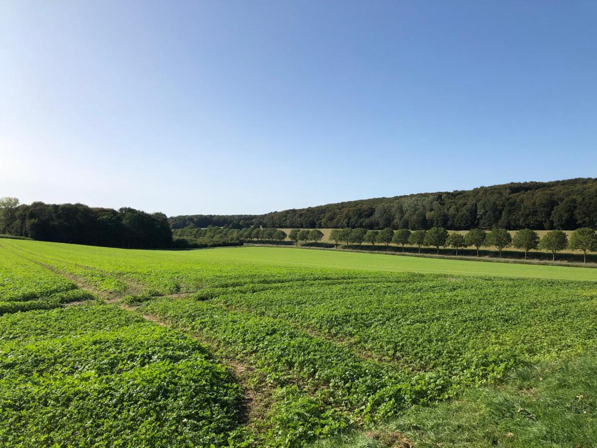 Baumberger Ferienhaus mit Garten & Wintergarten mit 3 Schlafzimmern & 2 Bädern - Housity