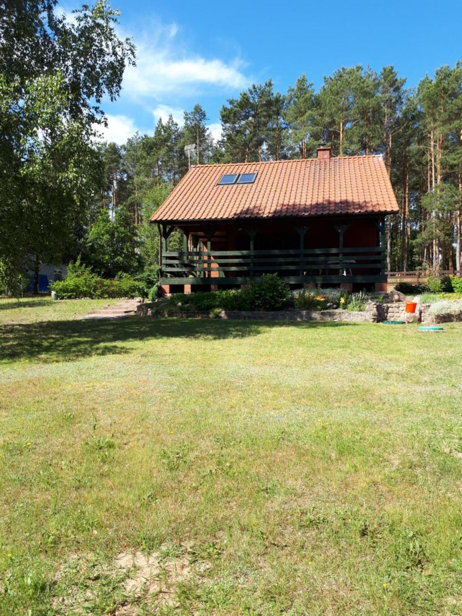 Domek pod brzozami Wynajem Pszczew - Housity
