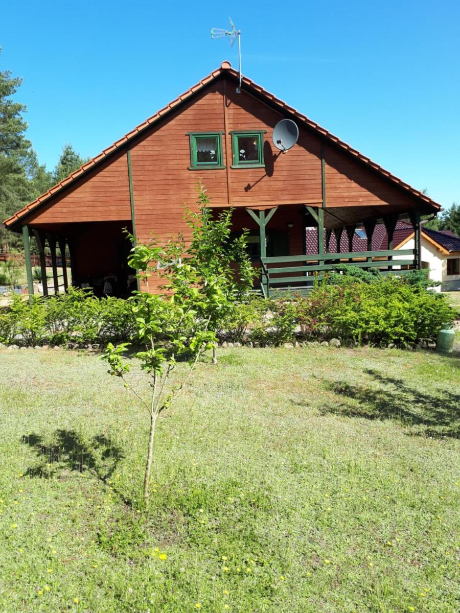 Domek pod brzozami Wynajem Pszczew - Housity