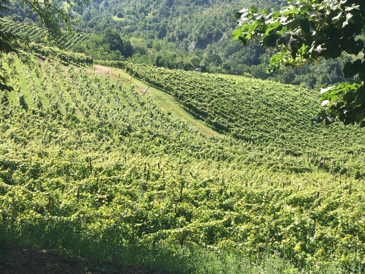 Cascina Bertolotto Wine Resort - Housity