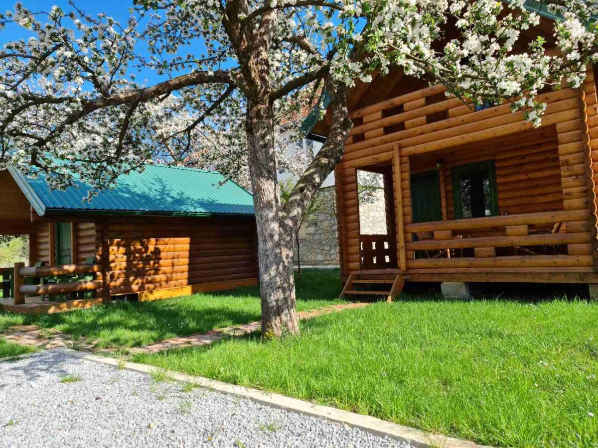 Guest house Green Garden - Housity