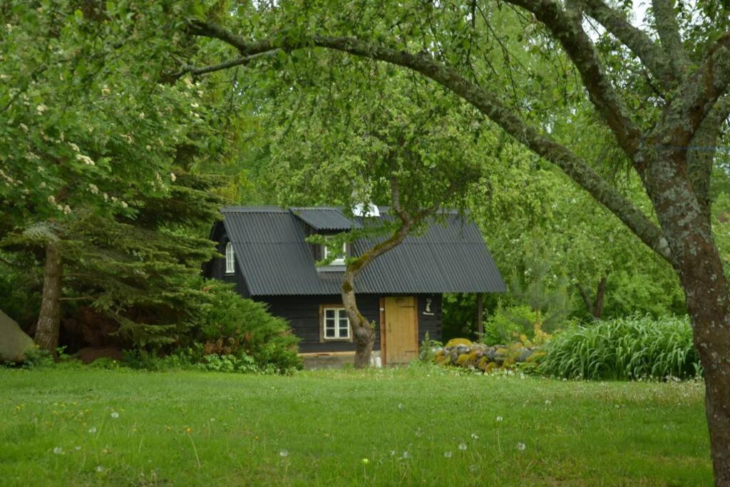 Puise saunahouse and outdoor kitchen at Matsalu Nature Park - Housity