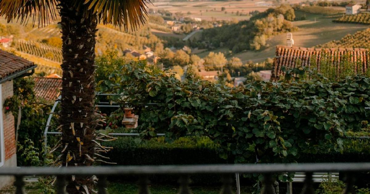 CASA ANGIOLINA - Casa vacanze con vista sulle colline - Housity