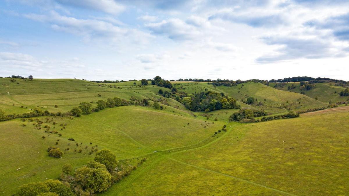 Willow Country Chalet in Pegsdon - Housity