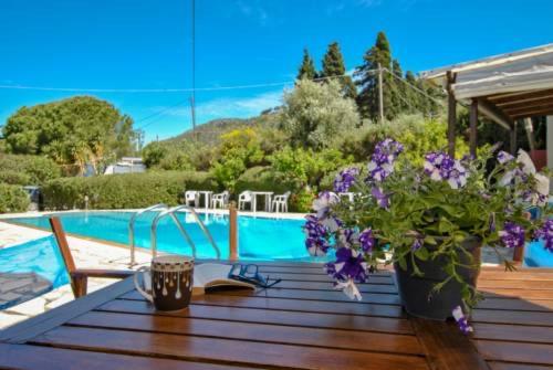 Moulinos Studios - Housity