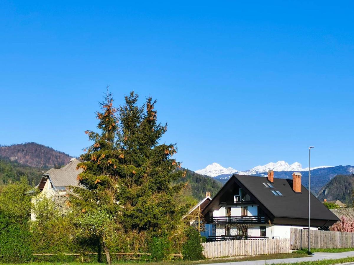 Deerwood-Sky Attic with Bled Castle View-NO KITCHEN - Housity