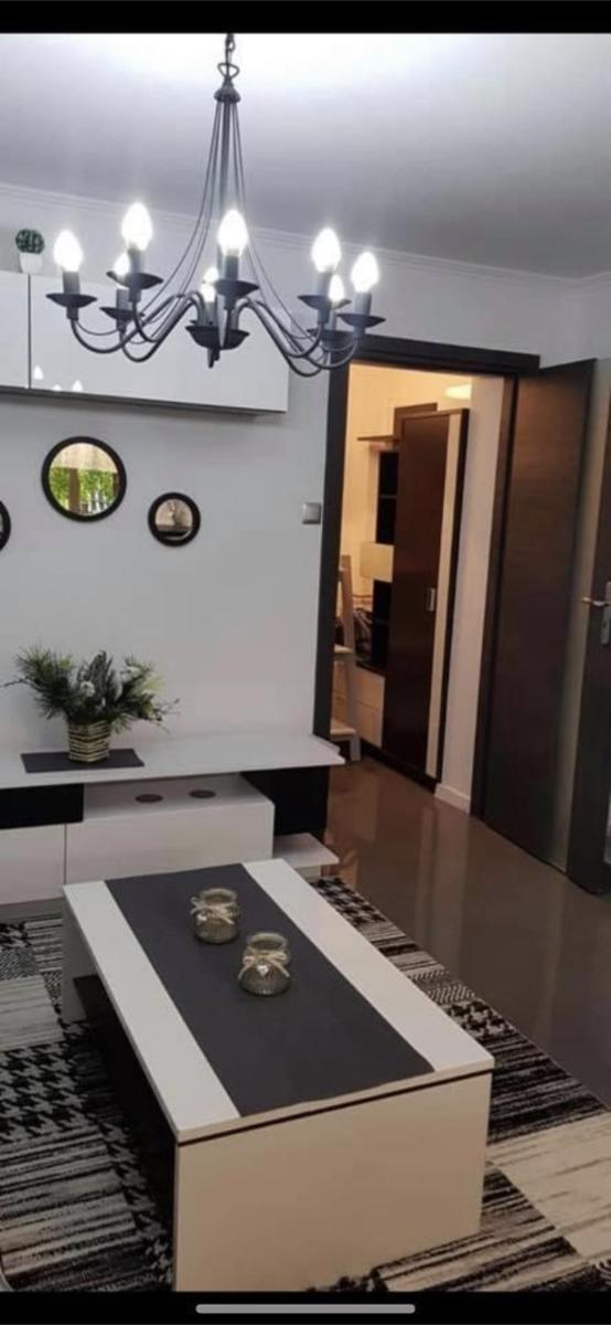 Tadeo - Housity