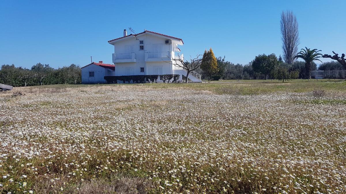 Silver villa Raches maisonette & Green - Housity