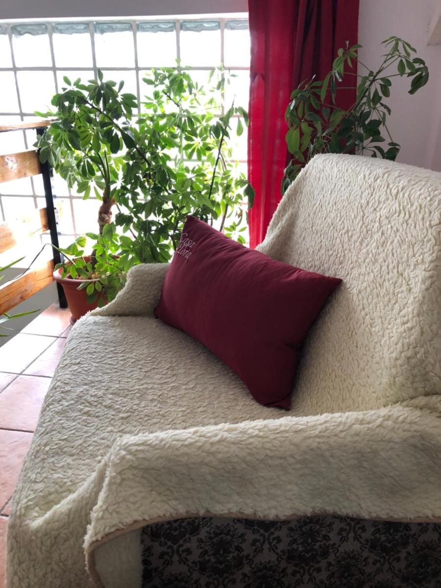 Casa Tora Tasnad - Housity