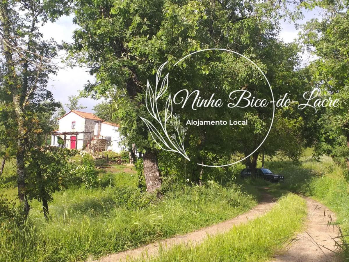 Ninho Bico-de-Lacre ~ o paraíso é a/na Terra - Housity