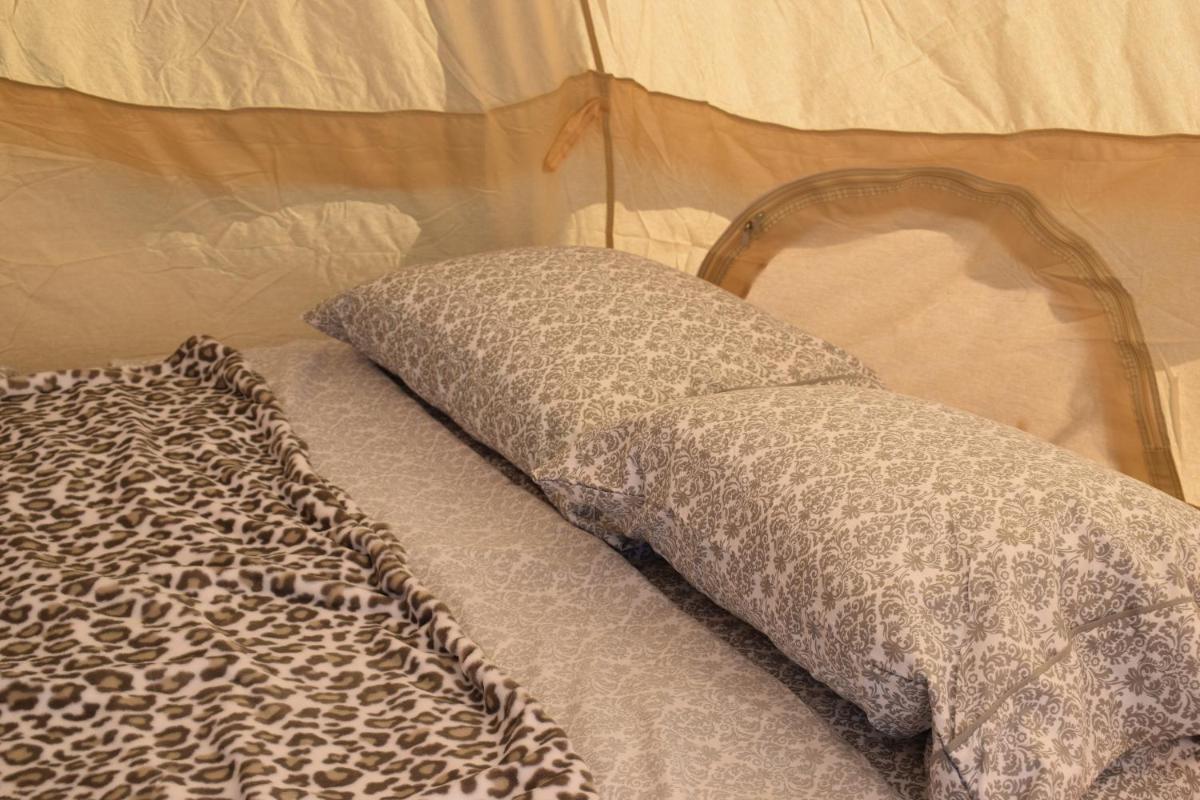 Suitetrails - Starlight Tent 3