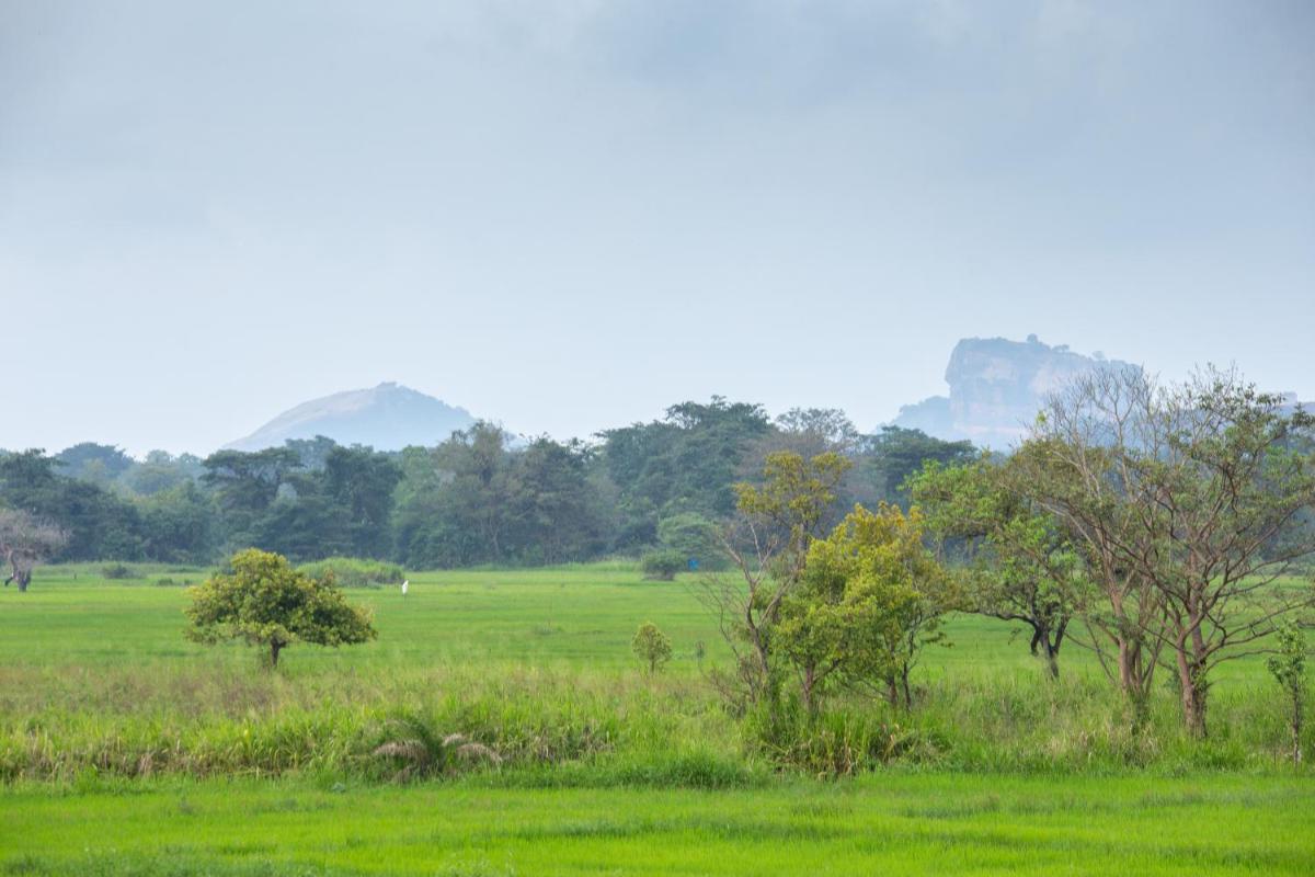 The Hideout Sigiriya - Hizvo