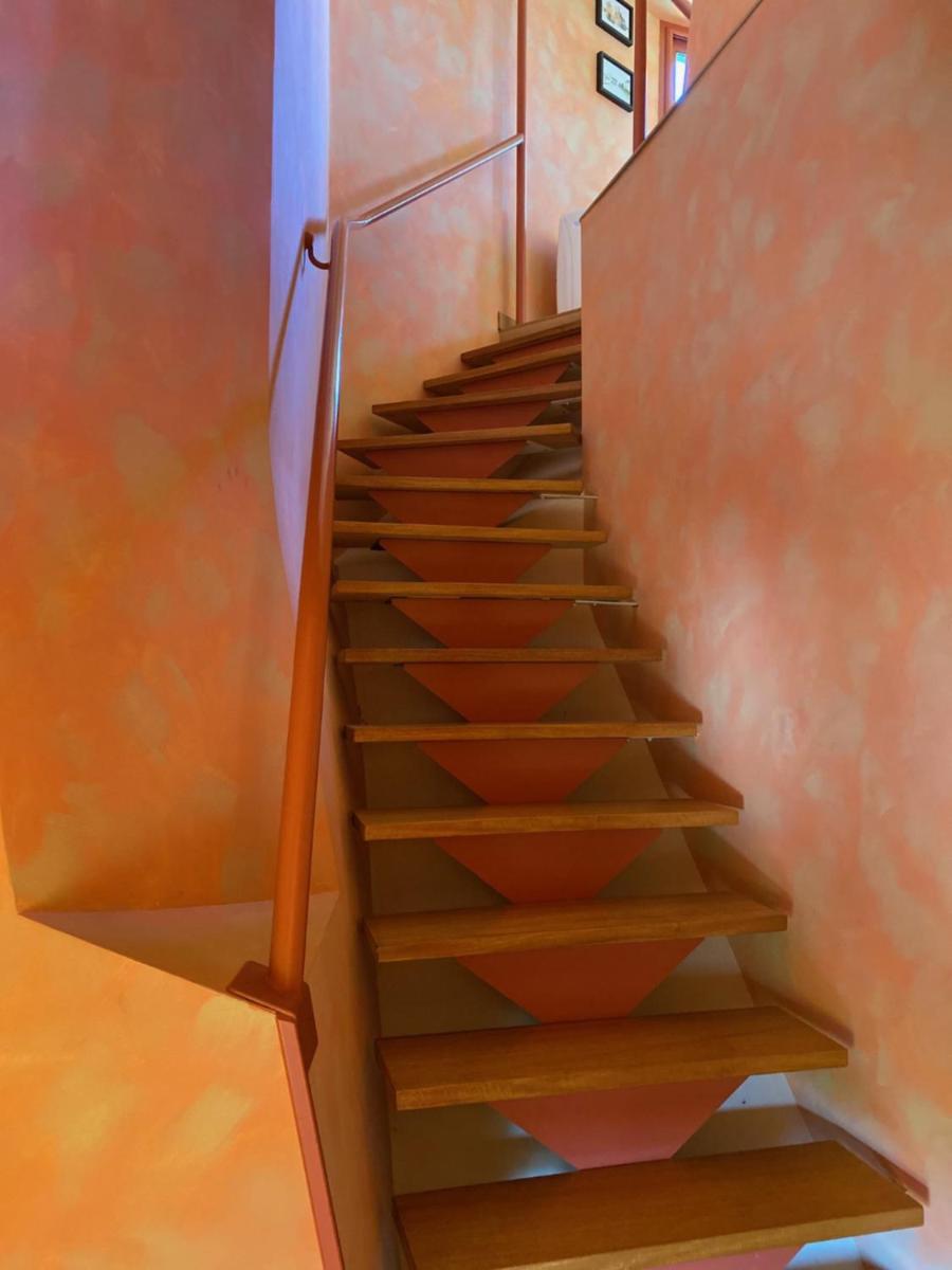 Nid de Pie - Housity