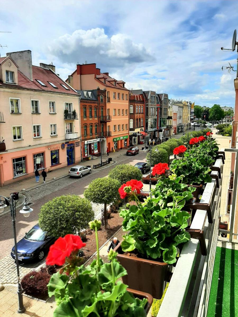 Apartament Centrum - Housity