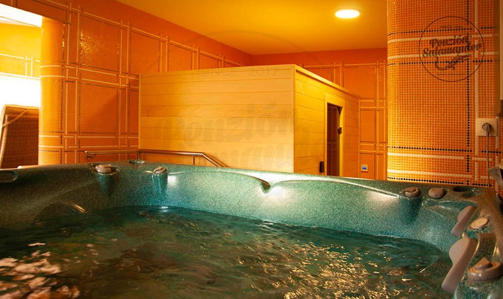 Penzion Salamander - Housity