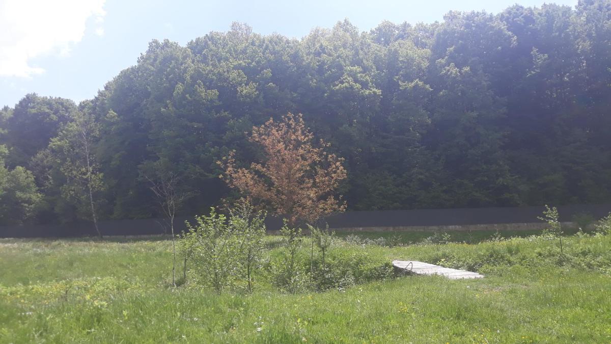 Будинок для відпочинку - Housity