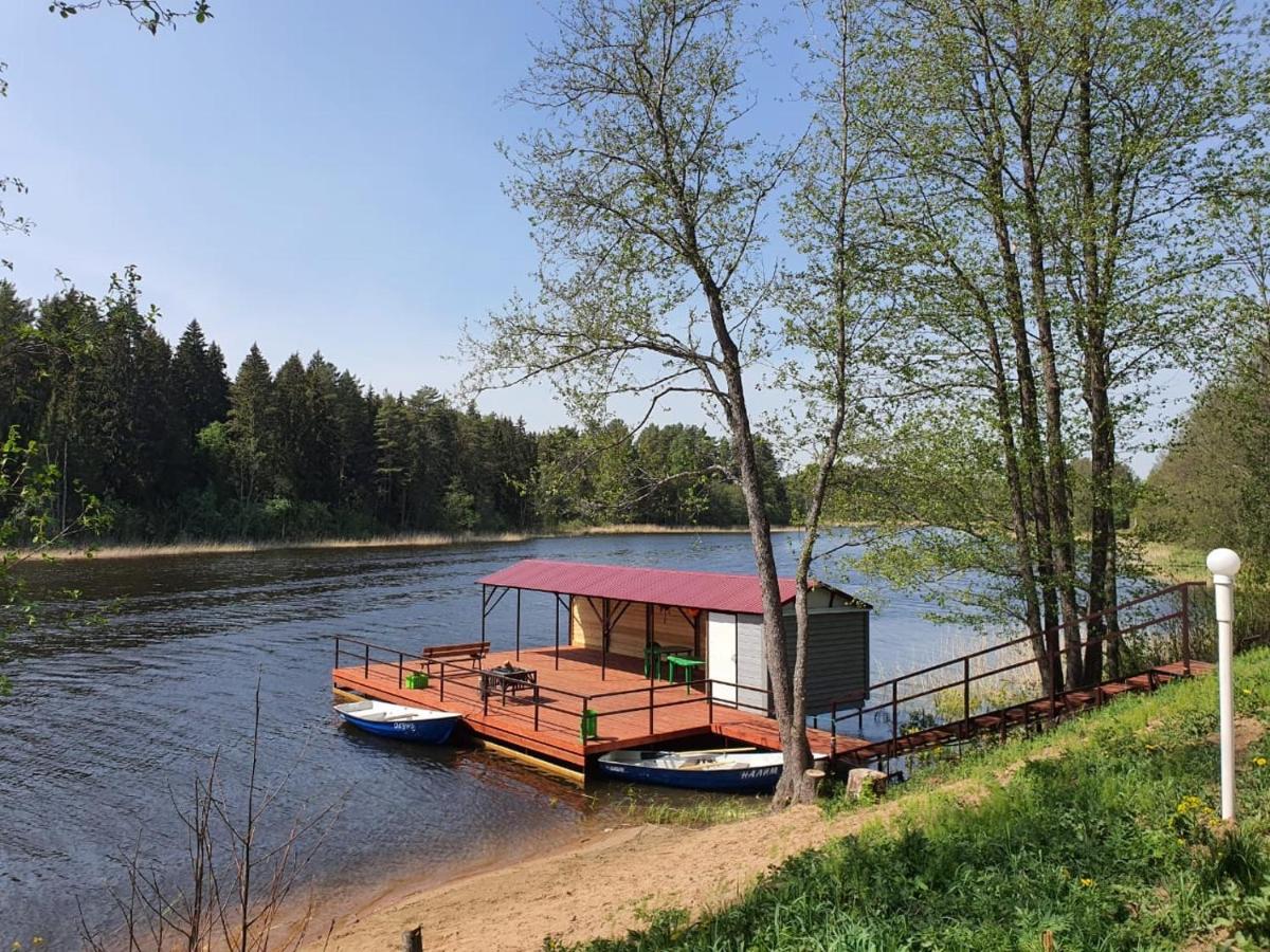 Ozeriava forest - Housity