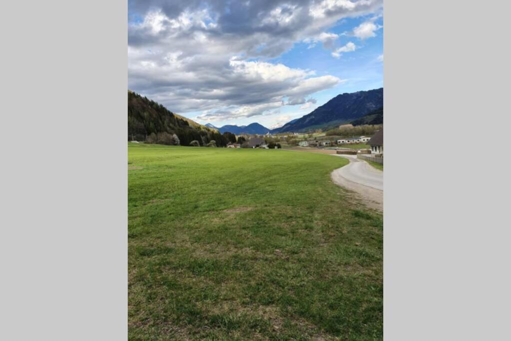 Galerie Wohnung Hechelstein / Top 106 - Housity