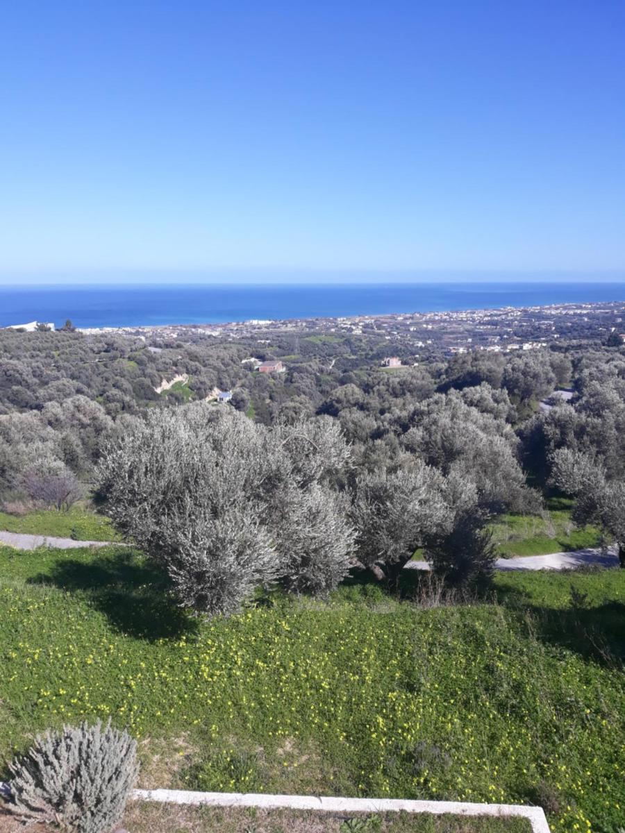 ALKYONI - Stavi's Guesthouse - Housity