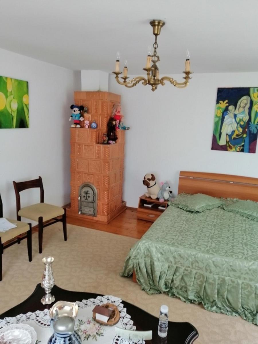 Casa Ilea -Agapia - Housity
