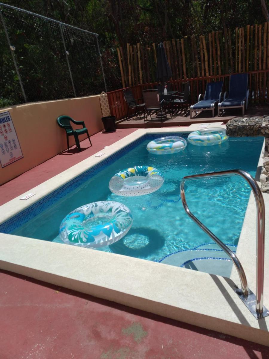 Caribbean Dream CD5 - Housity