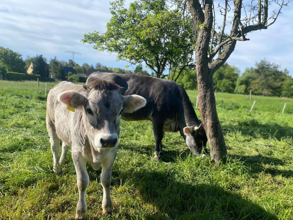 Ferienwohnung auf dem Bauernhof - Housity