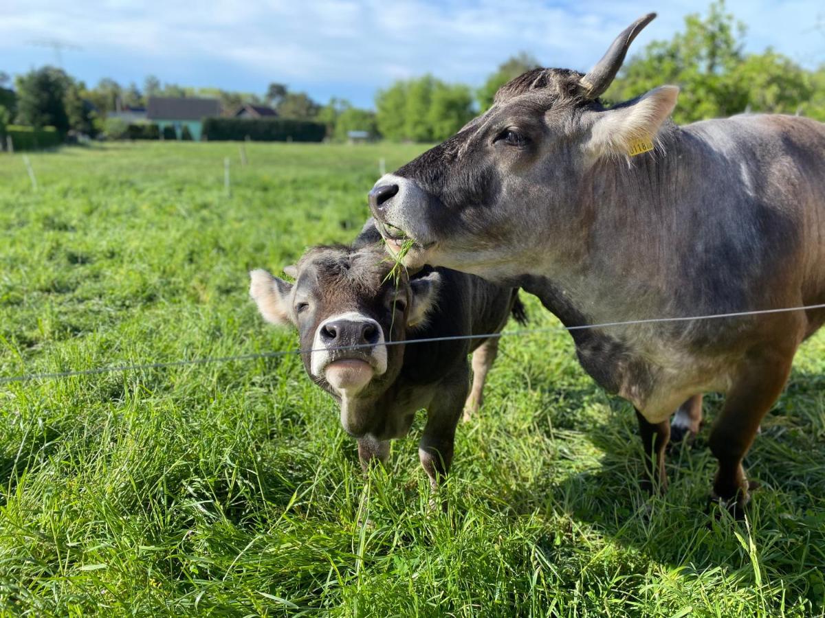 Ferienwohnung auf dem Bauernhof - Housity