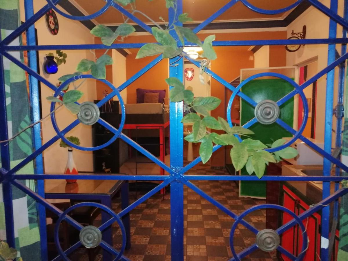 La Frida Kahlo Verde 1er piso - Housity