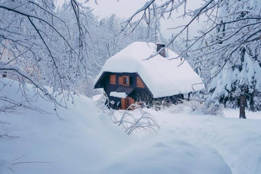 Cottage in the woods - Lake Bohinj - Housity