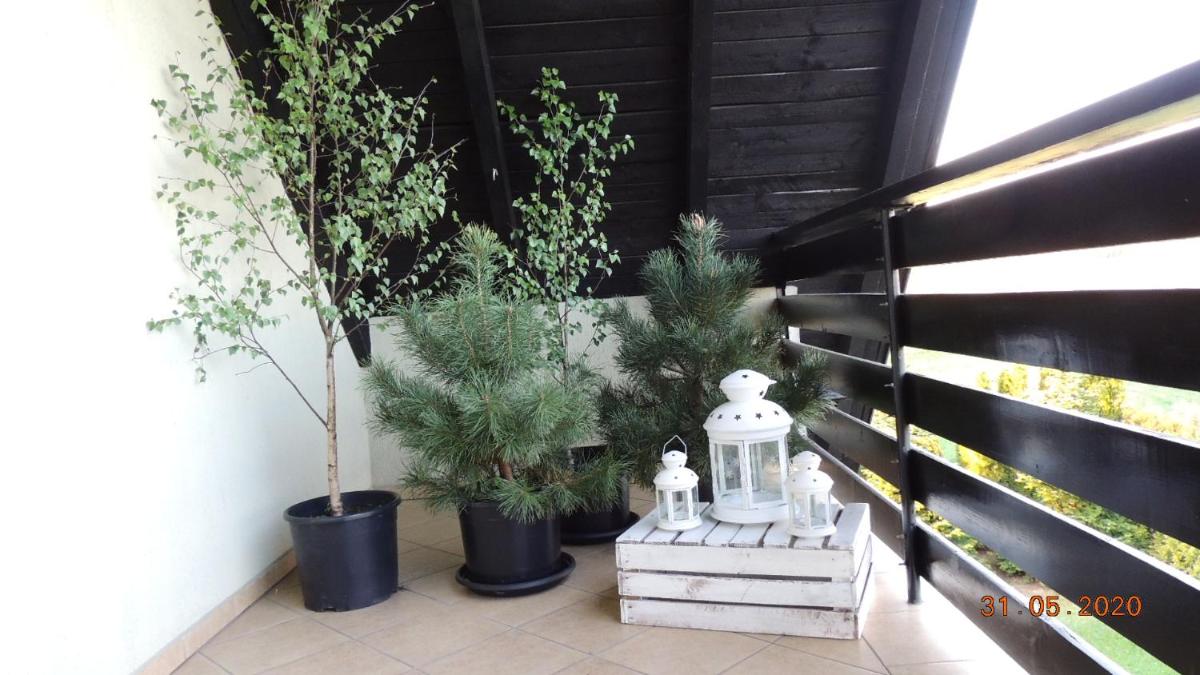 Zielone Tarasy na Kaszubach - Housity
