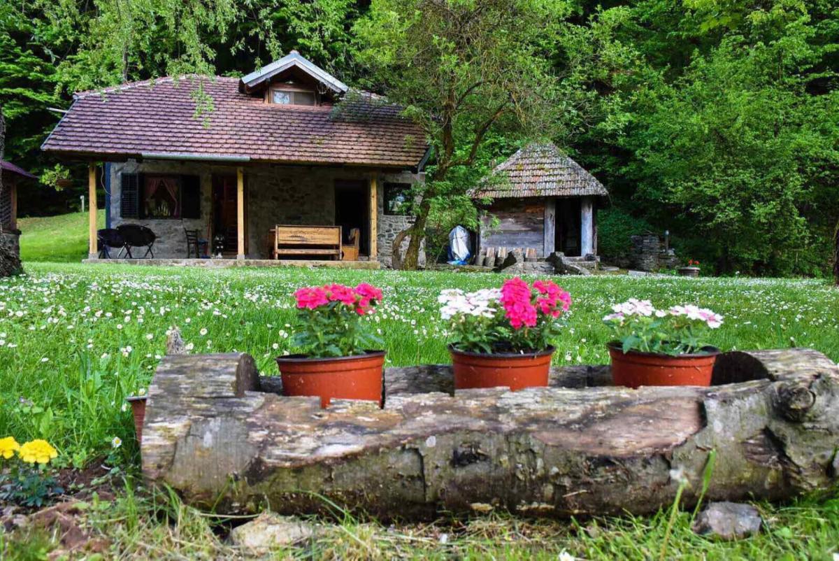 Kuca za odmor Todorovica mlin - Housity