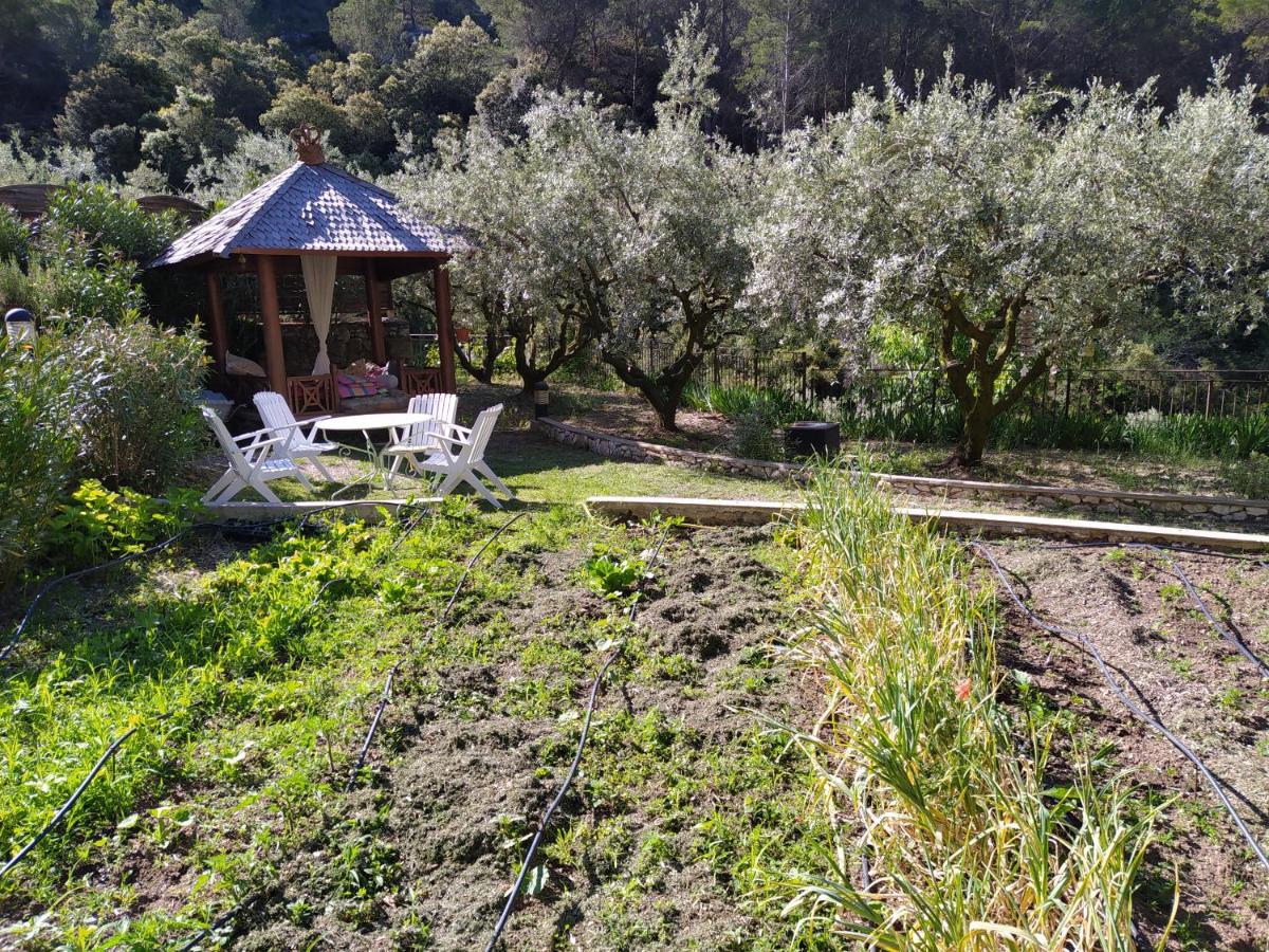 le frangipanier - Housity
