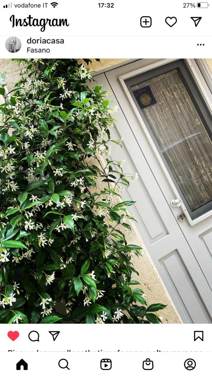 casa Gelsomino - Housity