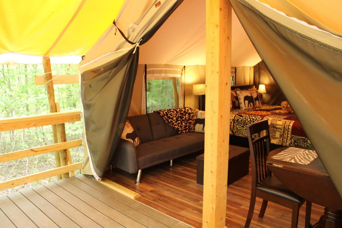 Country Road Cabins - Housity