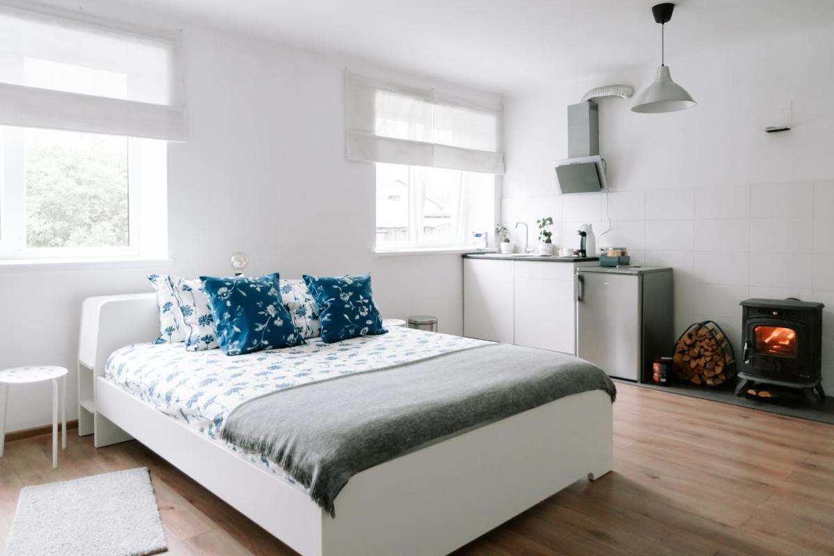 Lake Aluksne studio apartment - Housity