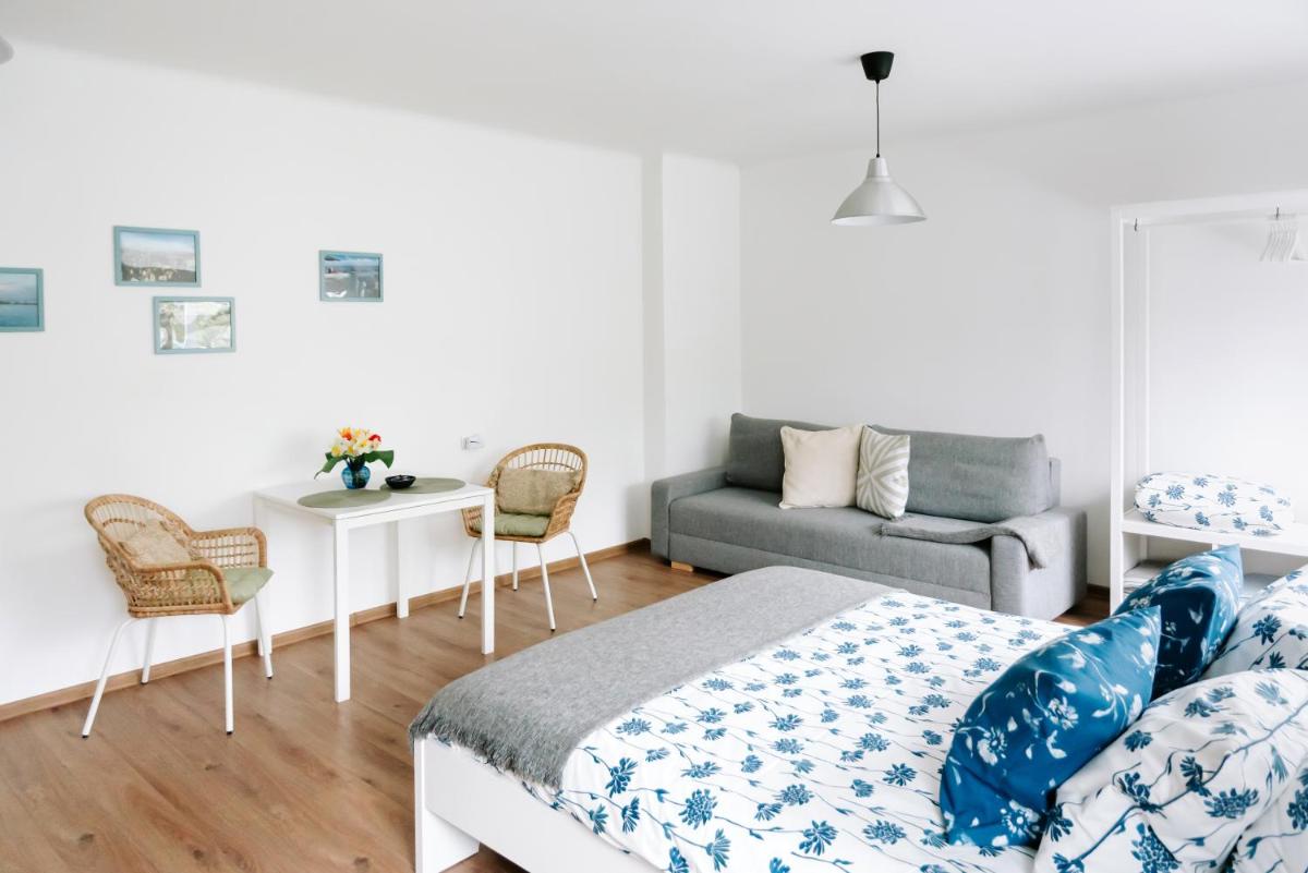 Lake Aluksne studio apartment - Housity