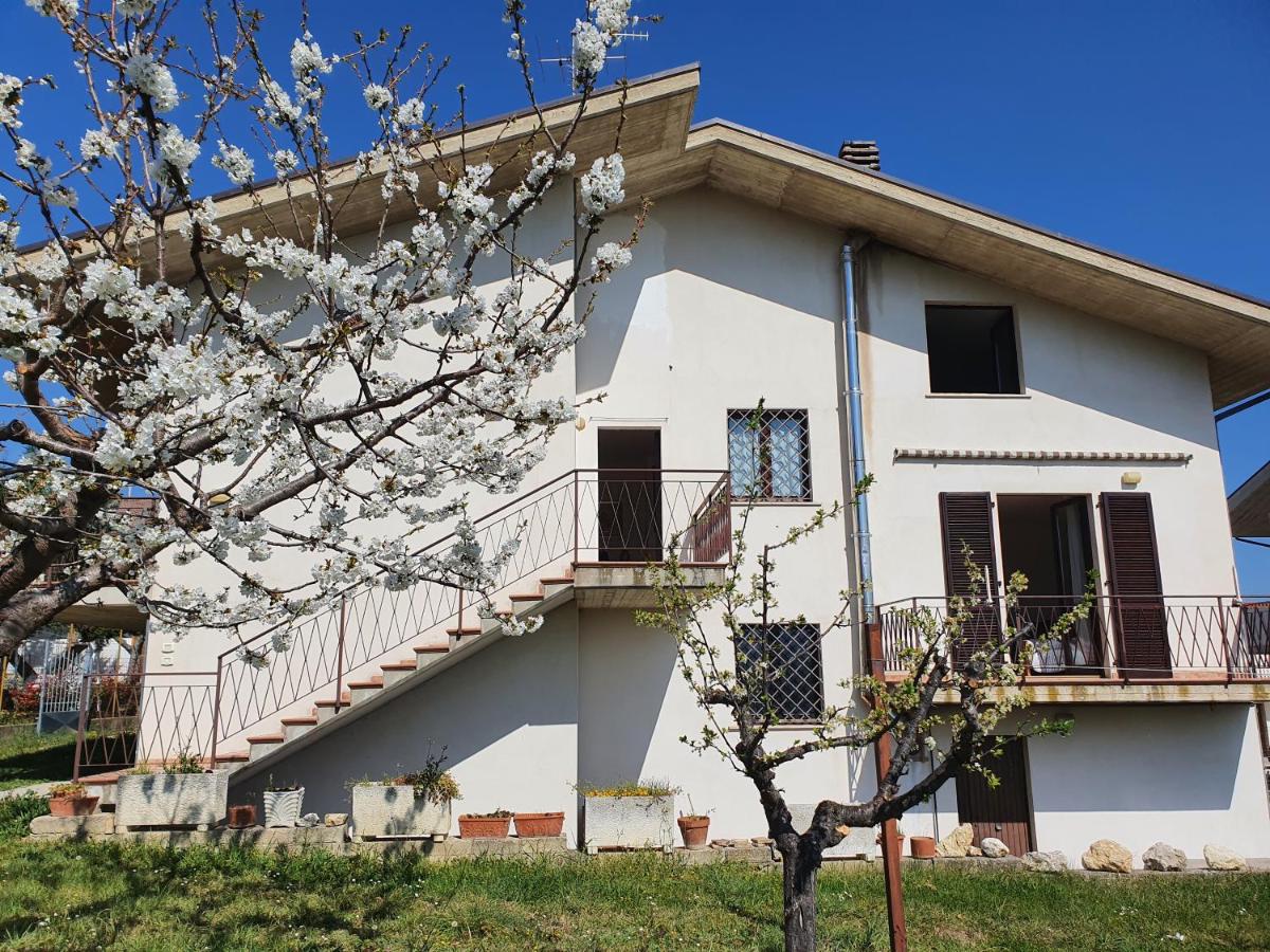 Casa Ciuffina - Housity