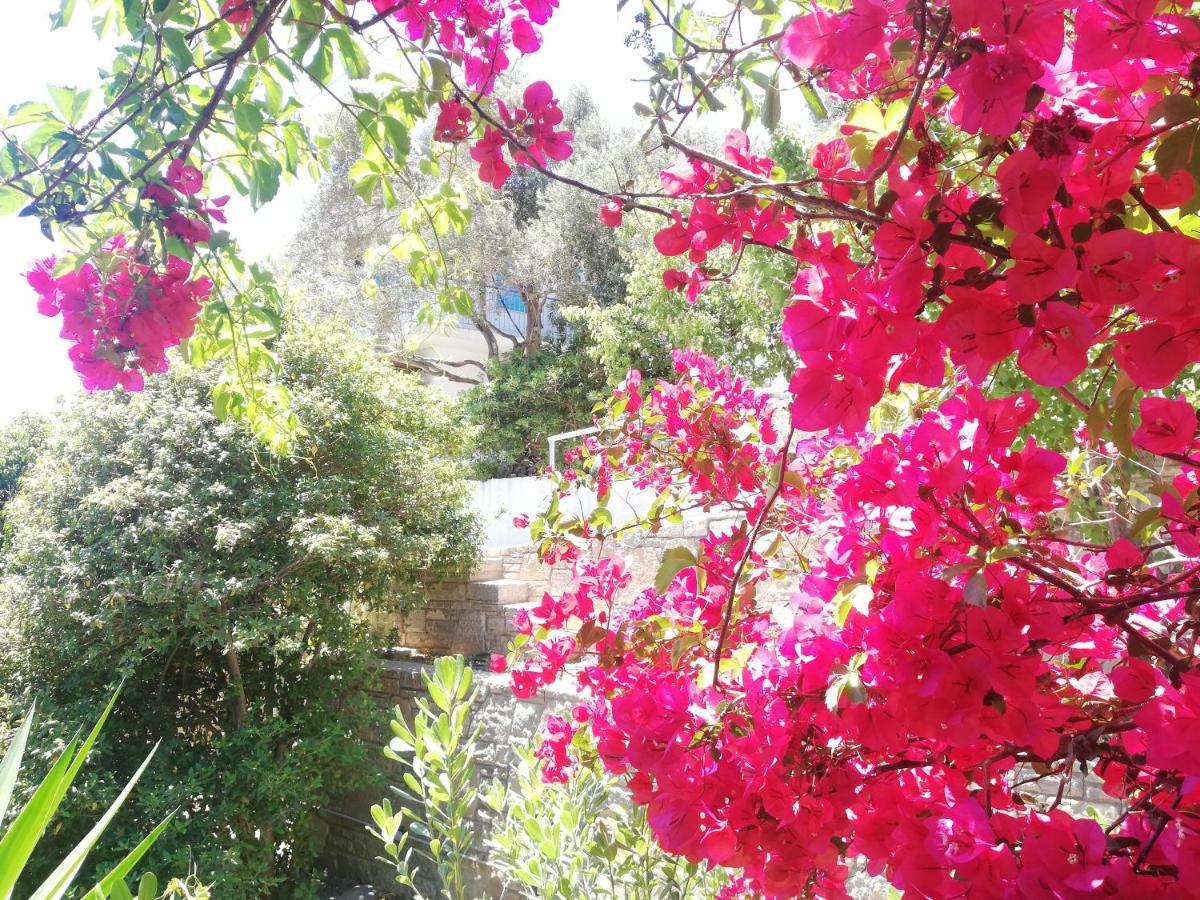 Apartments Jota - Housity