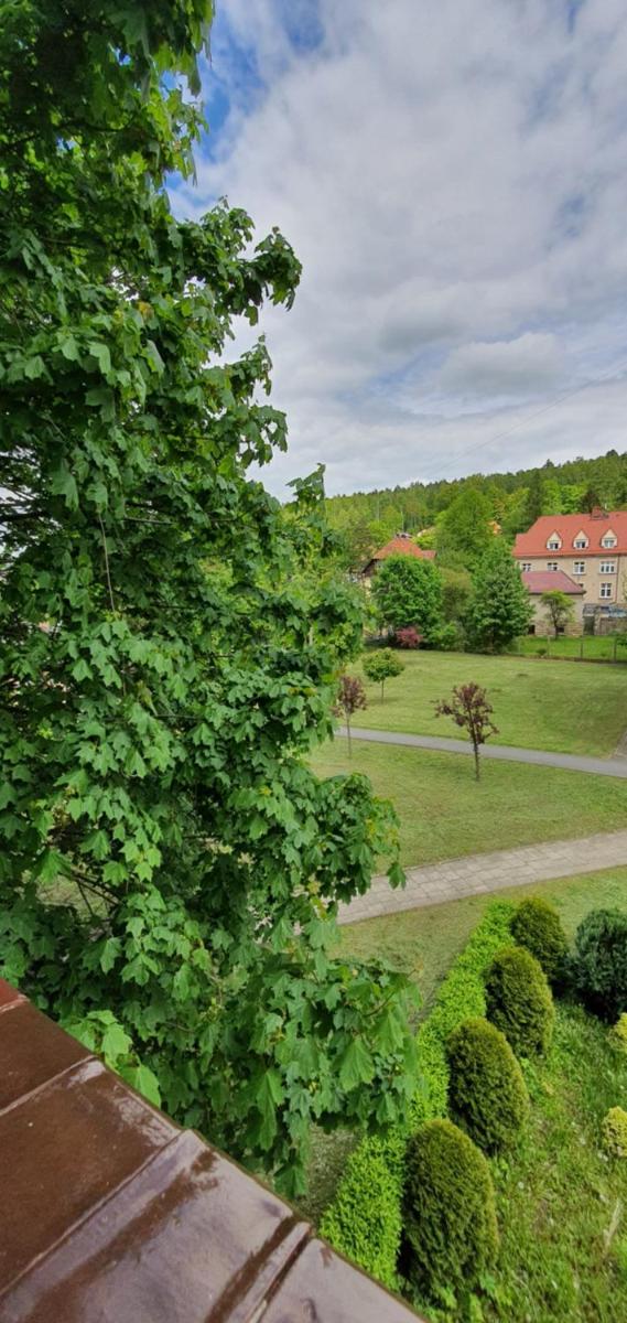 Apartament Łąkowa - Housity