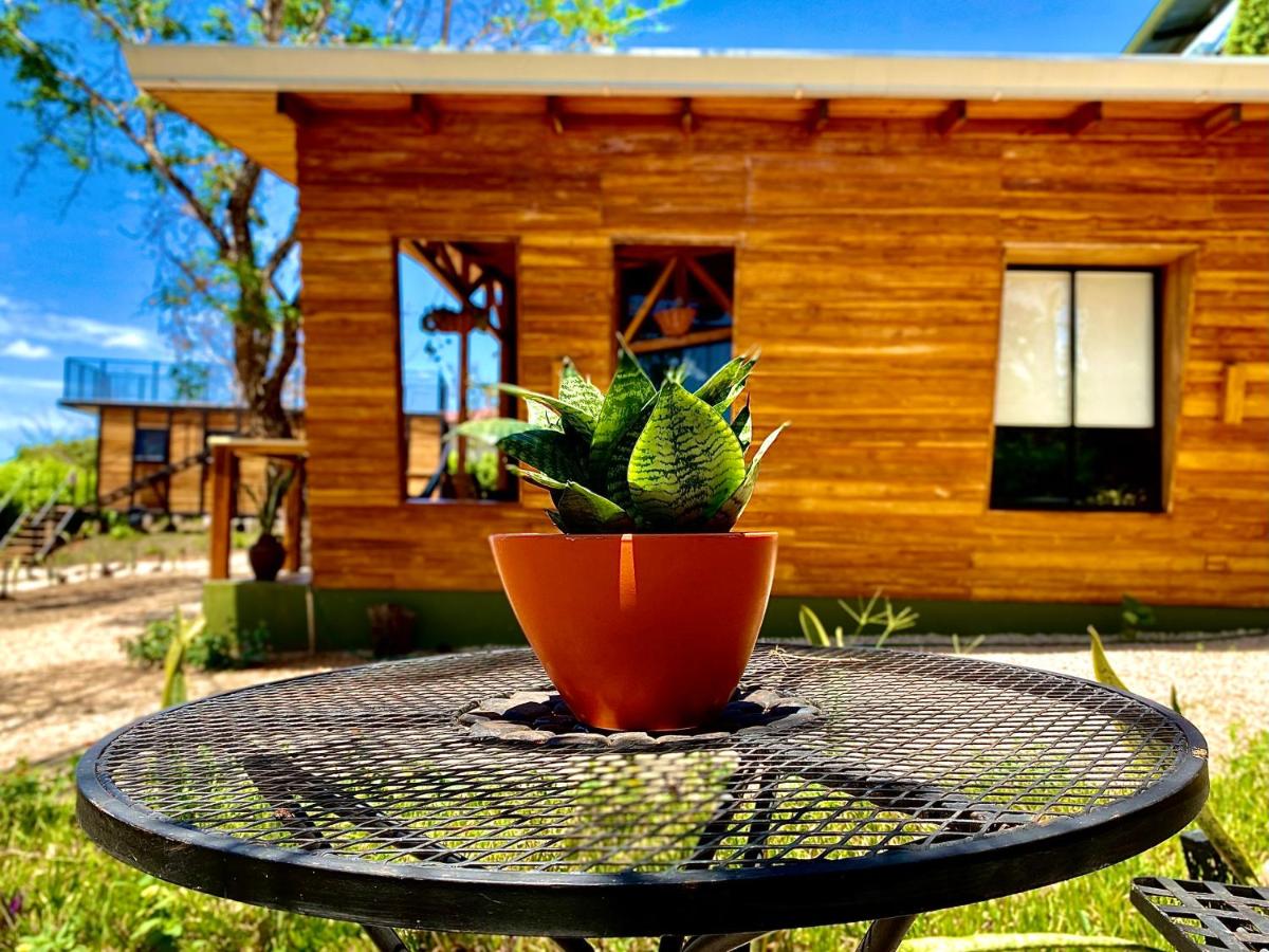 Hoja Azul - Housity