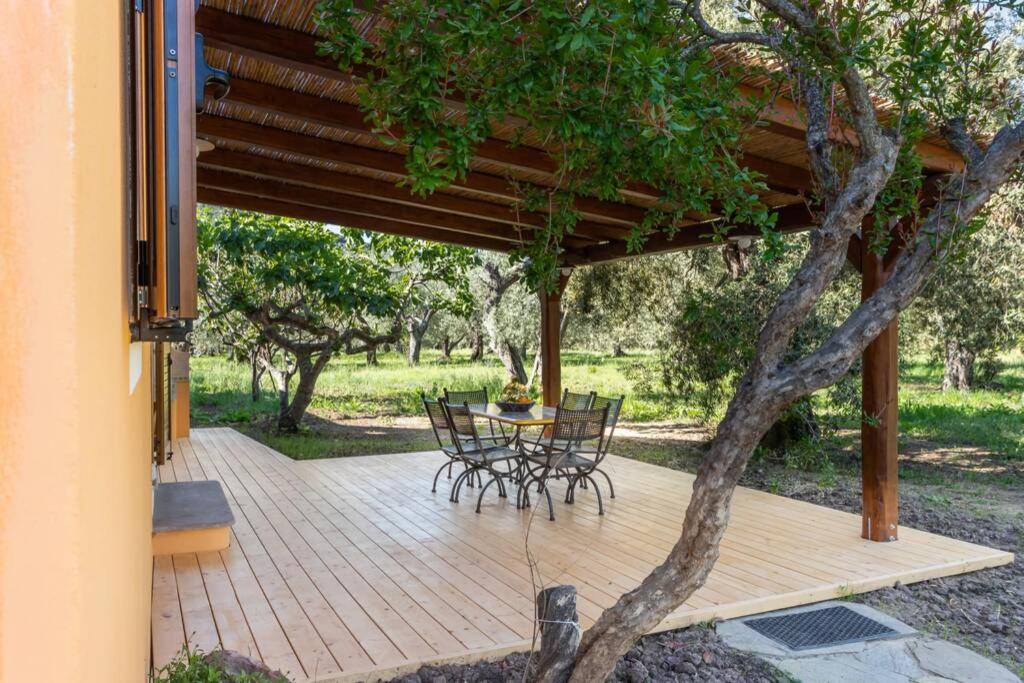 A charming country cottage + bikes and kayaks - Housity