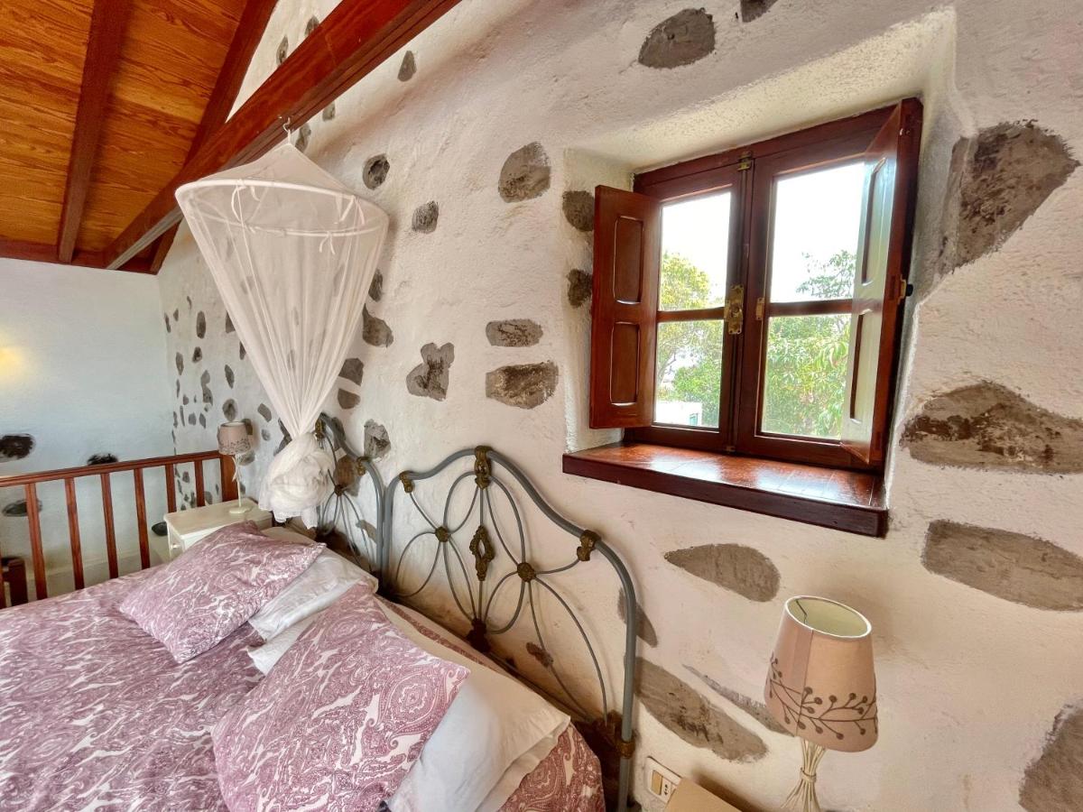 Villa Delfines - Housity