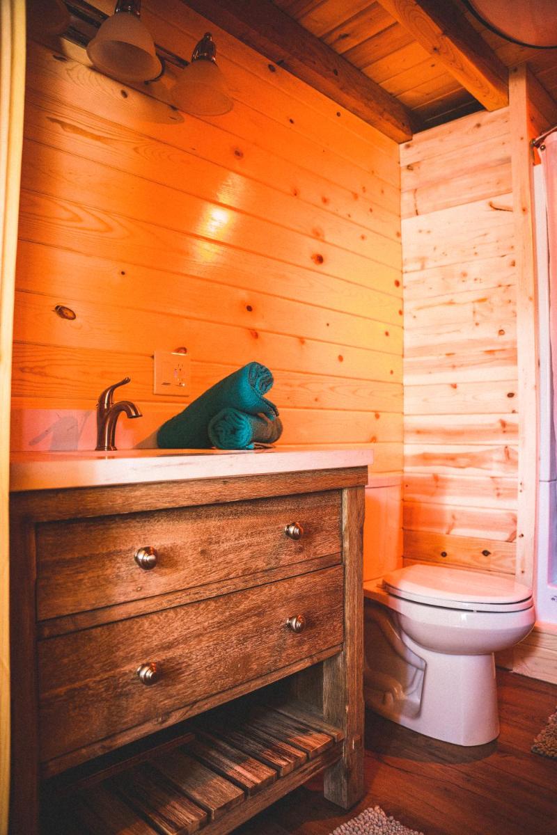 Denali Wild Stay - Redfox Cabin, Free Wifi, private, sleep 6 - Housity