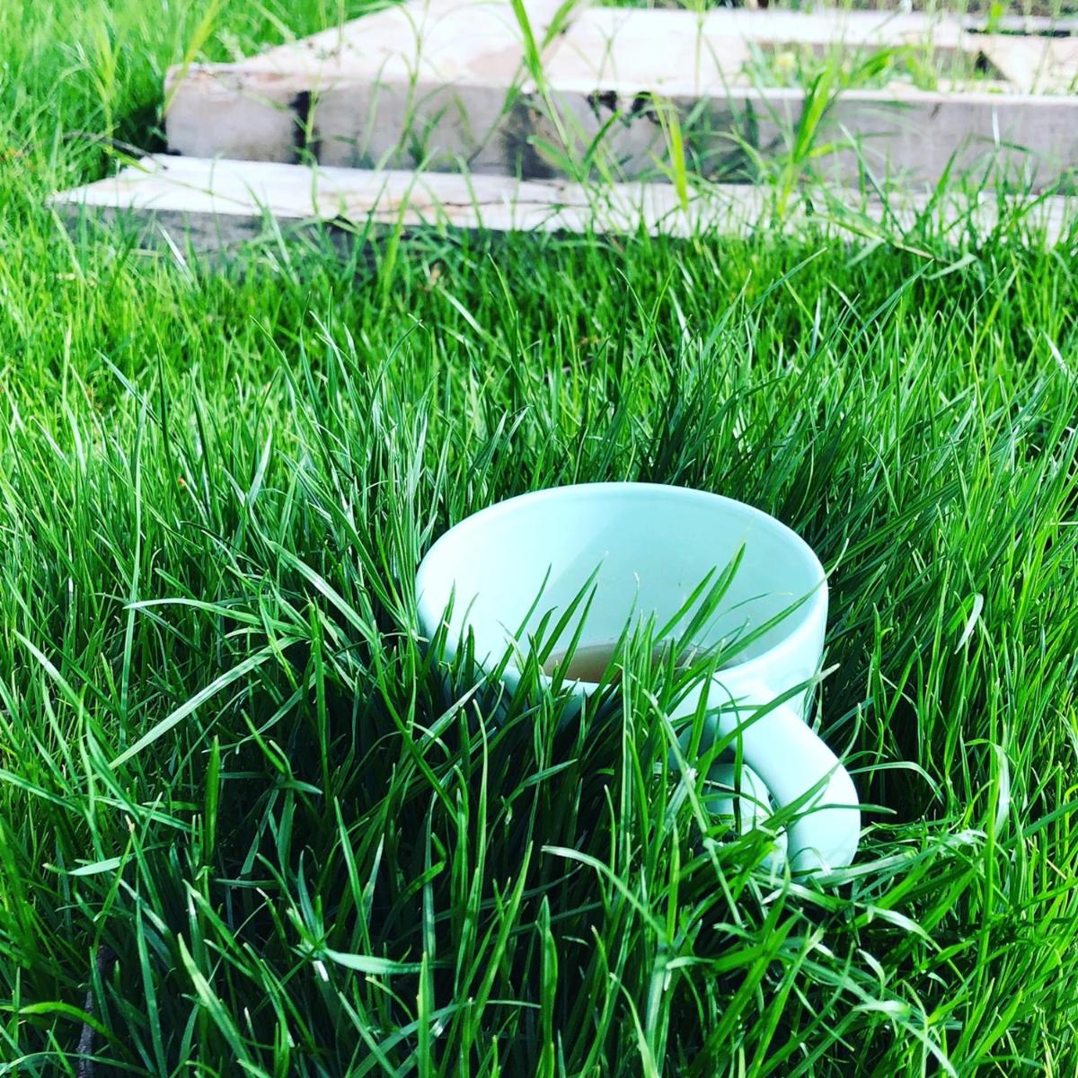 Espacio Natural - Housity