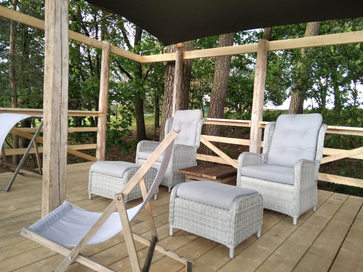 Srokowski Dwór 1 - Leśny Zakątek - Prywatna Sauna! - Housity