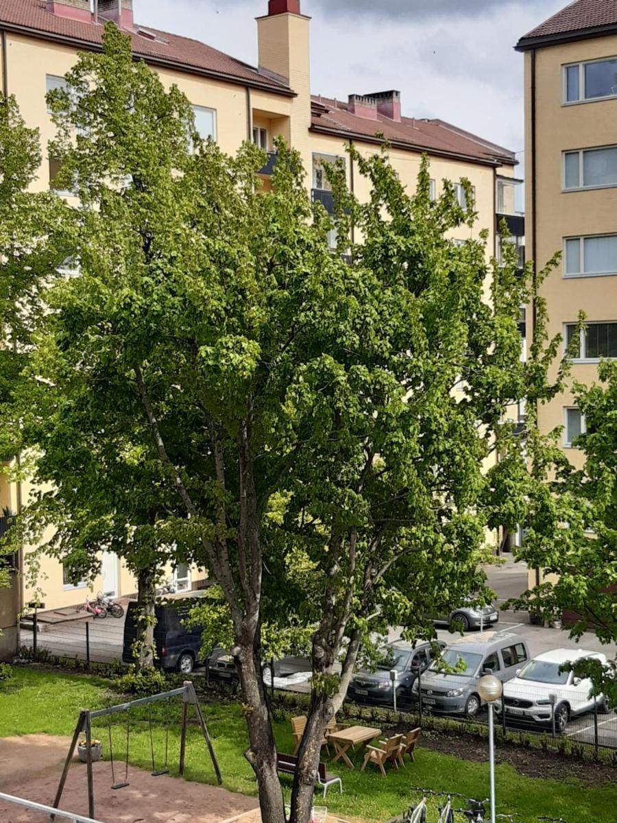 Garden Street Family - Housity