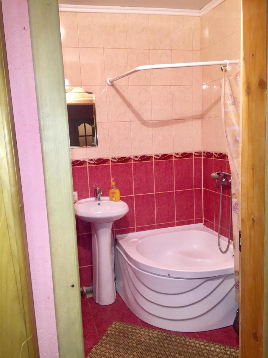 Karpats kii budinok - Housity